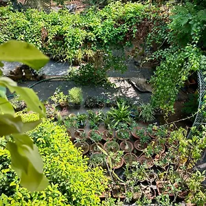 Gloria ,thrissur Thrissur